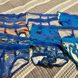 Hanes 4T Boys Briefs