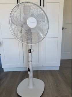 Fan