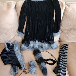 Girls Raccoon Halloween Costume, Size Large (12 -14)