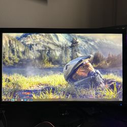 Dell Monitor