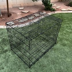 dog cage 