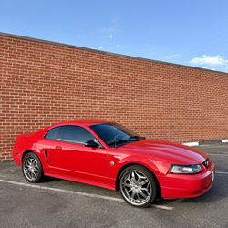 2004 Ford Mustang
