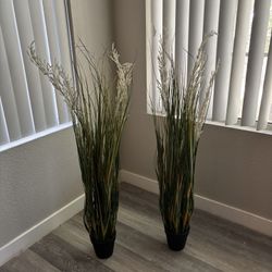 artificial/fake plants