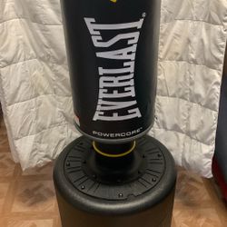  Everlast Free Standing Power Core Heavy Bag