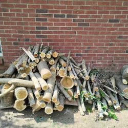 Firewood 