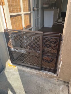 Doggie Door / Child Door