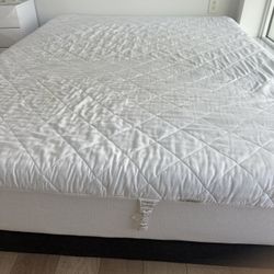 Sealy Memory Foam Mattress With Protector 