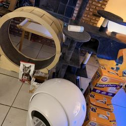 Tree House, Automatic Litter box, Cat Food, Cat Litter 