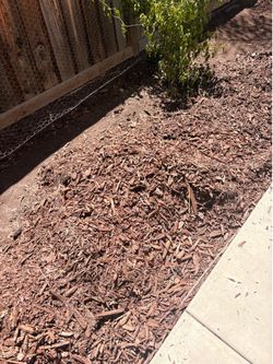 Mulch