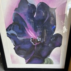 Beautiful Framed Art Picture 