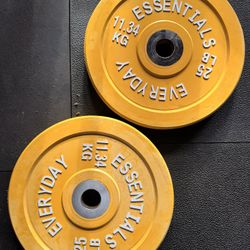 25lb Bumper Plate pair