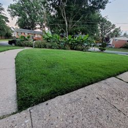 Grass Cut (contact info removed) 