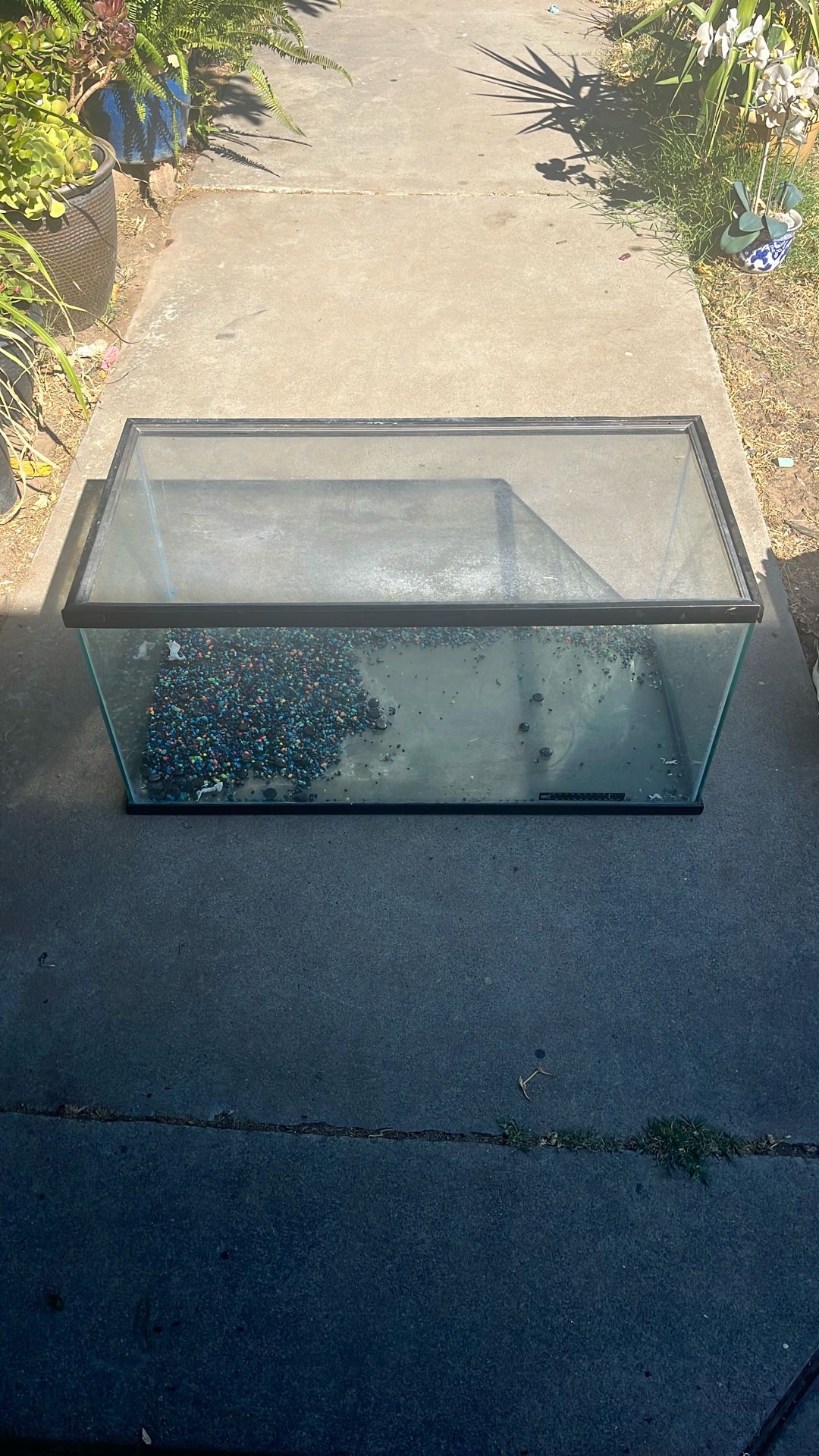 40gal “Breeder” Tank 