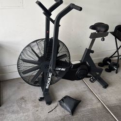 Rogue Echo 3 Air Bike