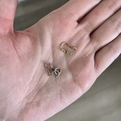 Nose Rings
