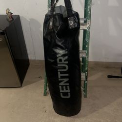 Century Punching Bag