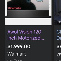 120 Inch Motorized Projector Screen $250. 