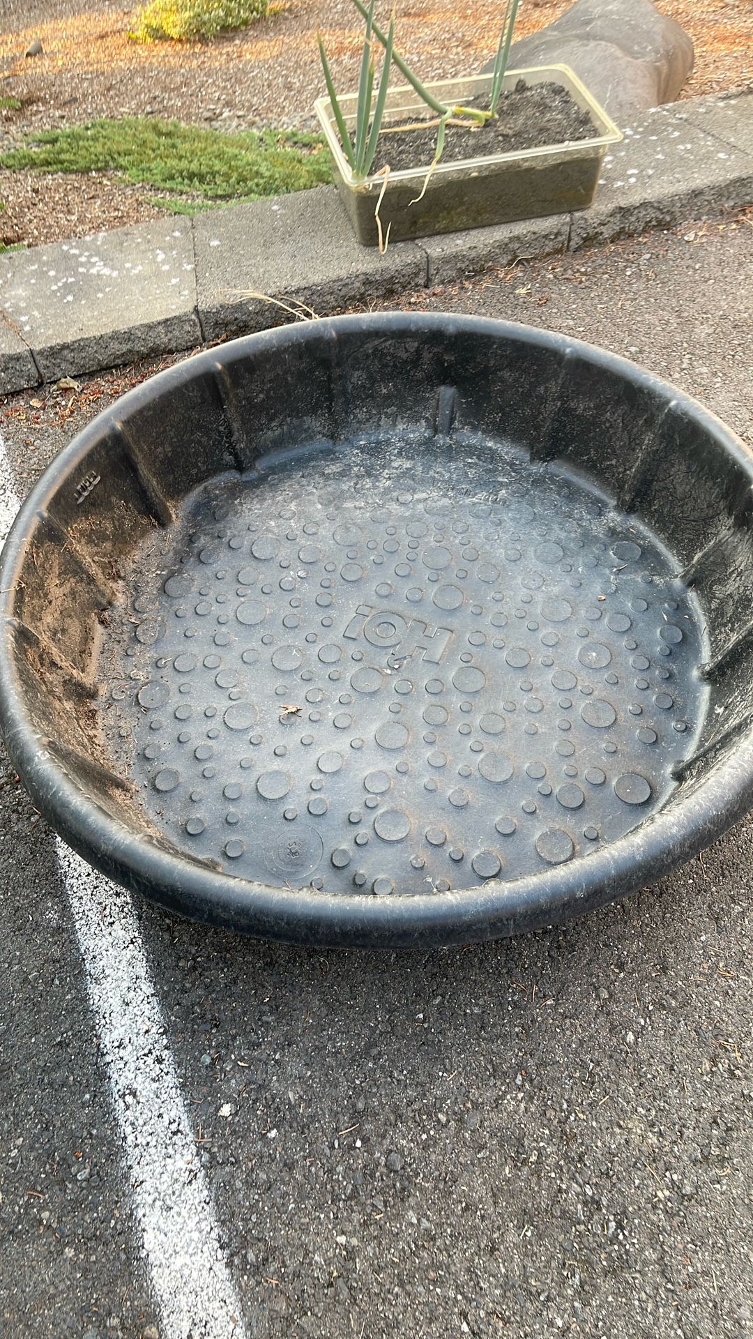 Kids Pool ( Plastic Container)