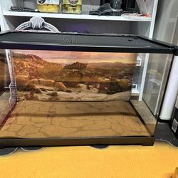 Terrarium Set Up 
