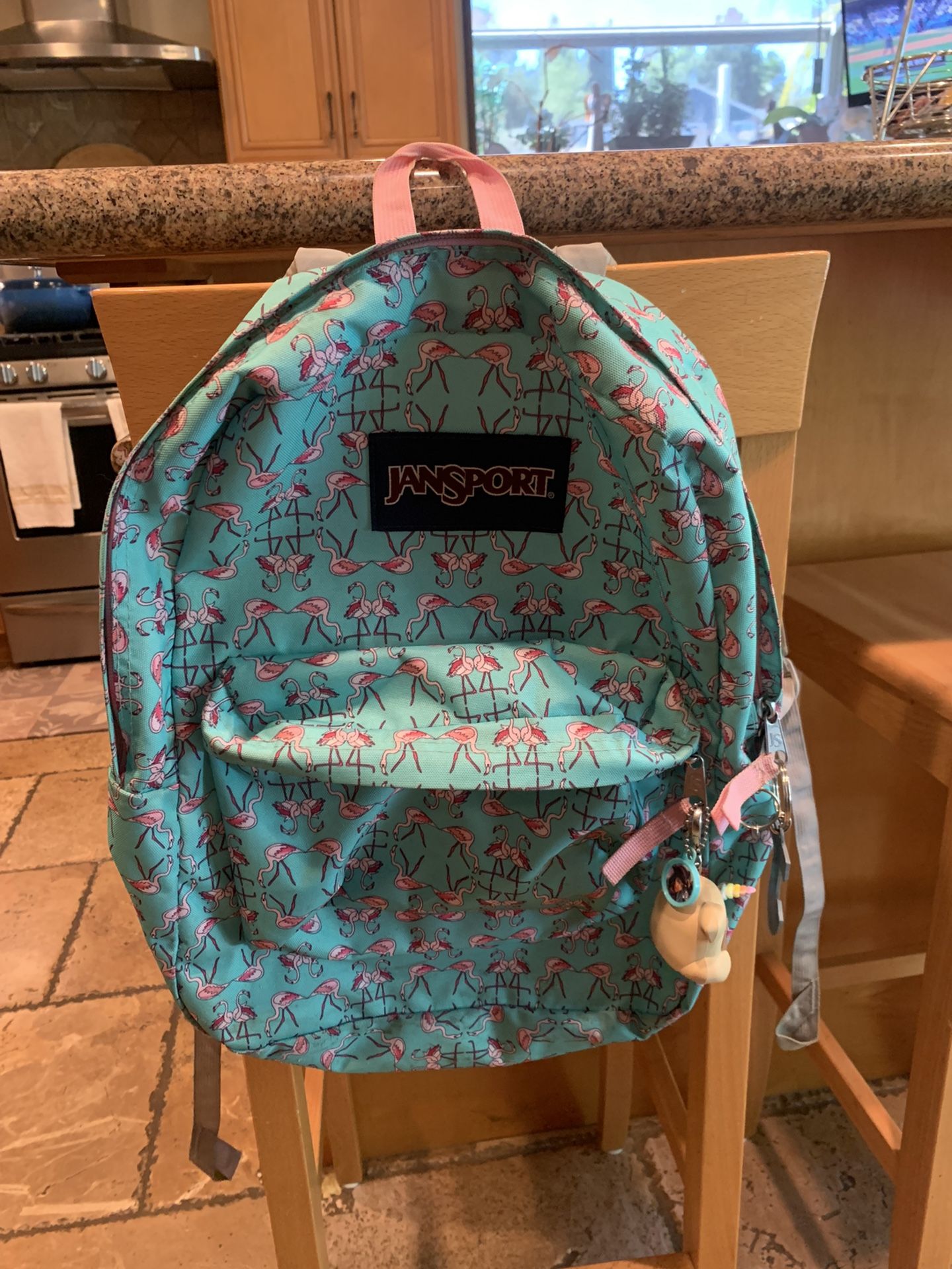 Jansport flamingo backpack