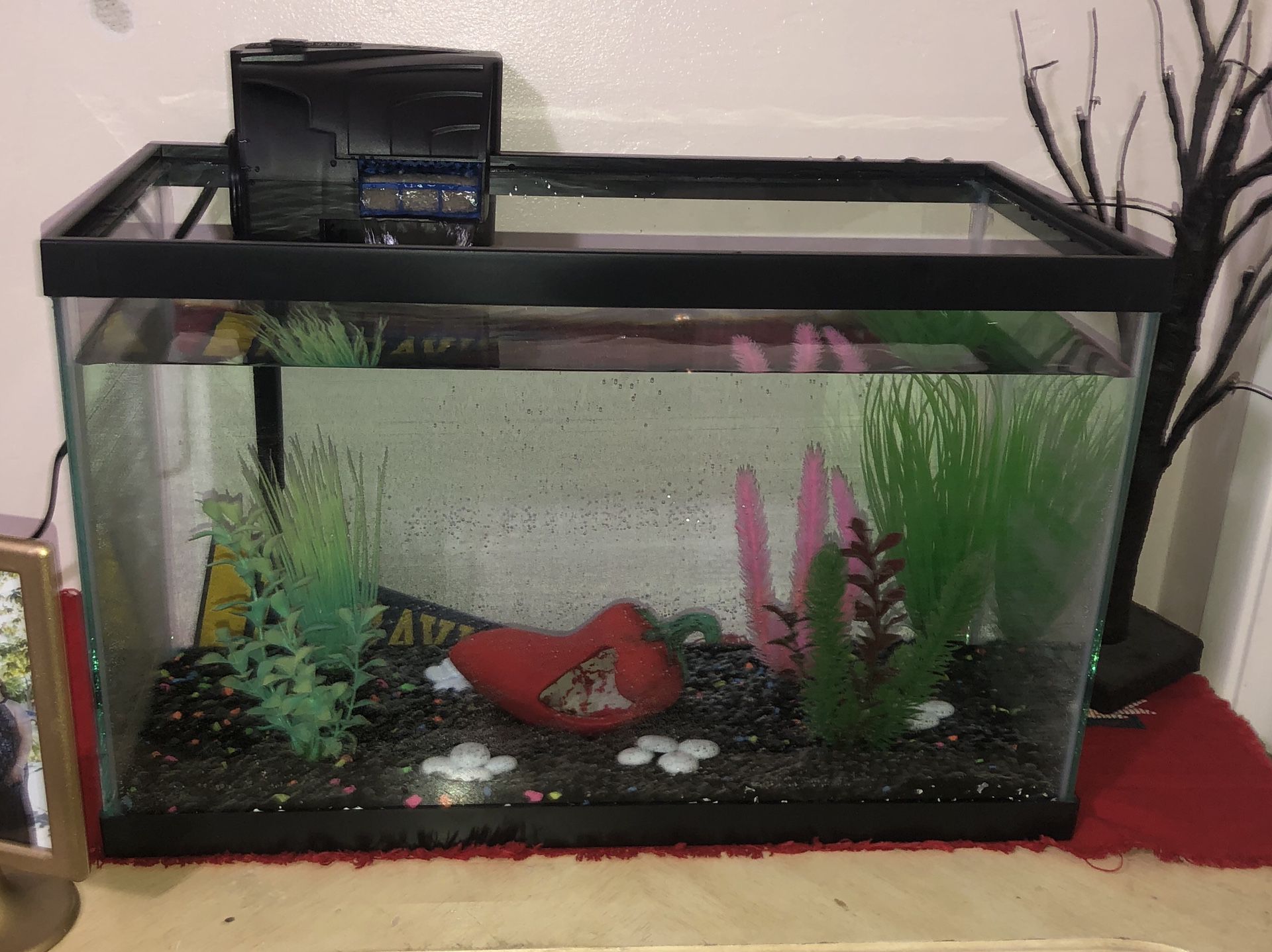 10 Gallon fish tank with Aquarium Hood Light also with Quiet Flow Filter and with Plastic Plants.