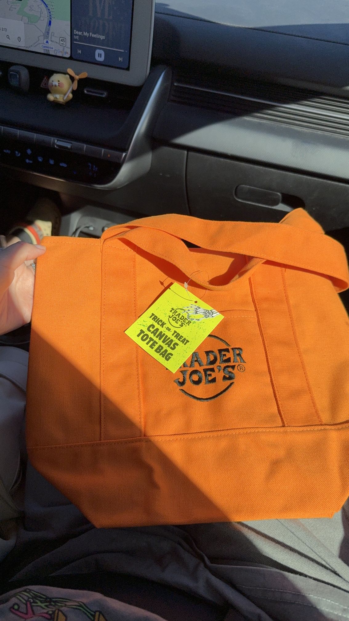 Trader Joes Bag