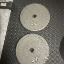 Pair Of 25lb Standard Inch Weights Plates Total 50lb