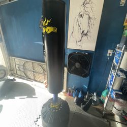 Punching Bag 70” Tall 