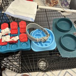 Pet Accessories 