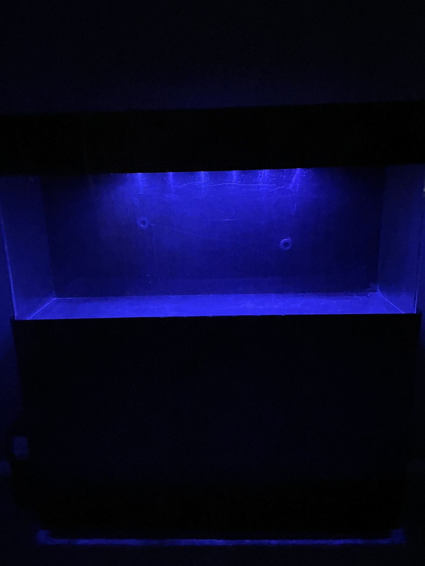 Acrylic Aquarium (50g)