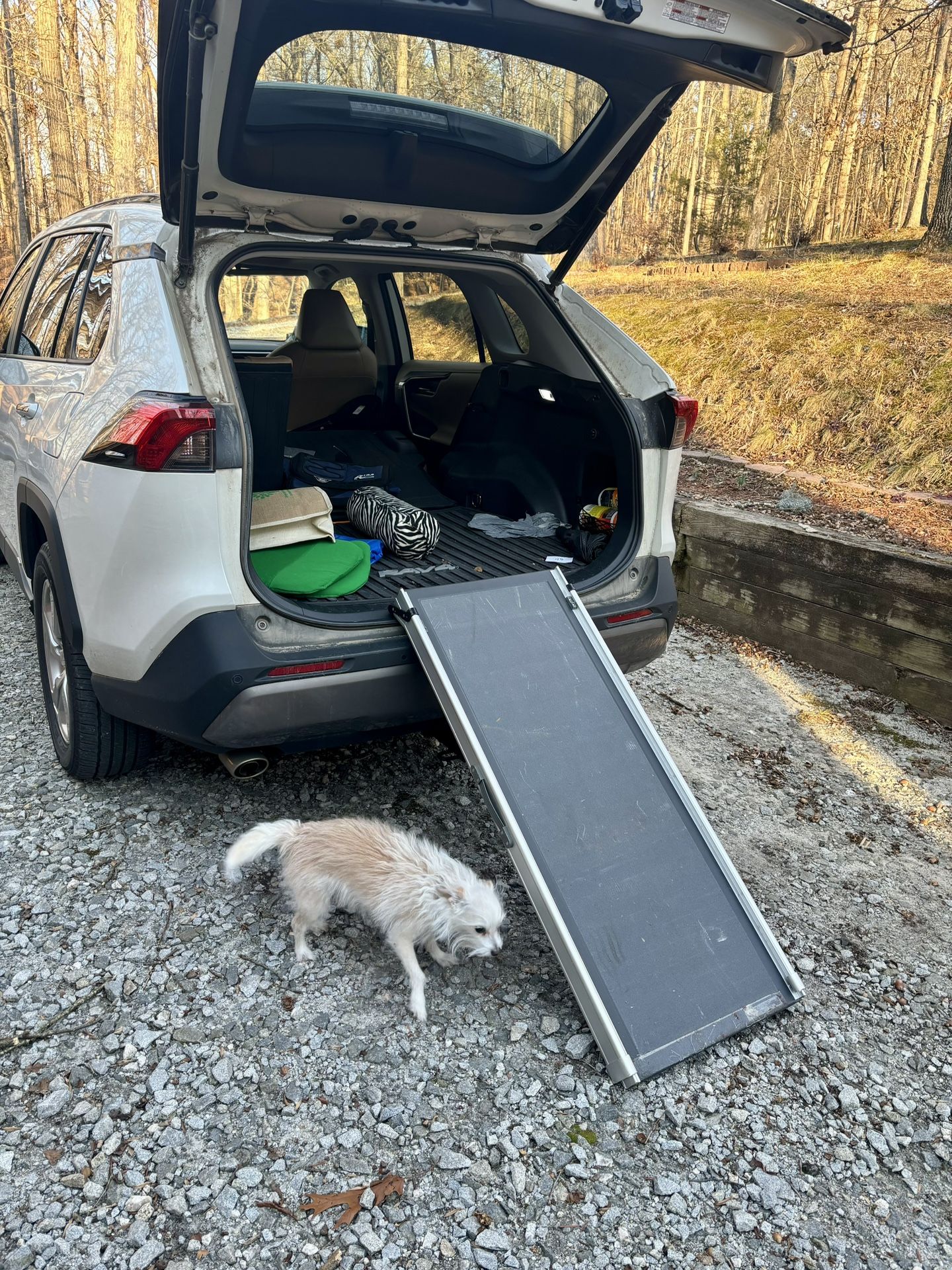PetSafe Pet Ramp