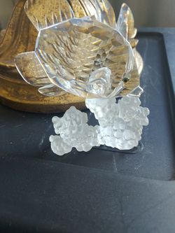 Crystal fish on coral reef.