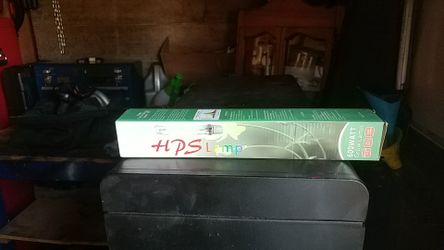 600 watt sodium bulb