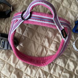 New Small Dog Harness 