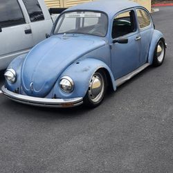 69 Vw Bug