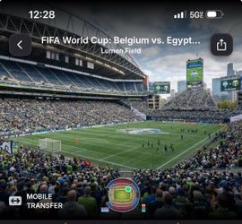 World Cup Belgium vs Egypt