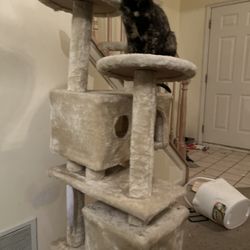 Cat Tree With Condo