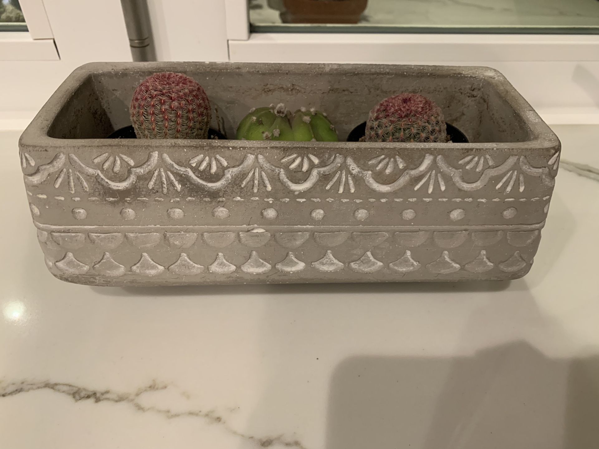 Rectangular Concrete Succulent Planter From Anthropologie