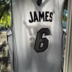 LeBron heat Christmas edition authentic jersey