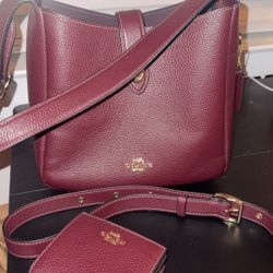 Coach Bag And Wallet 