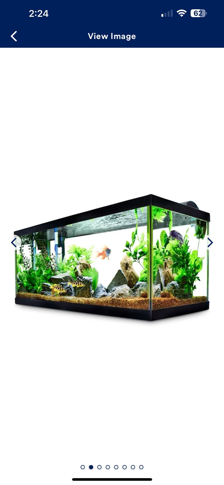 40 gallon “TANK”