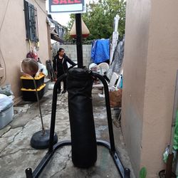 Punching Bag 