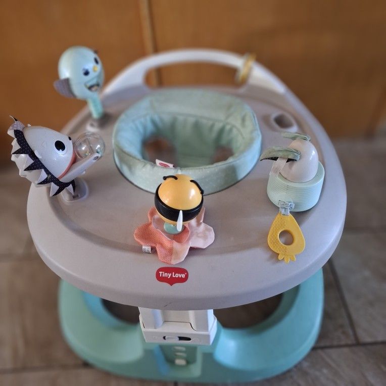 Baby Walker Tiny Love