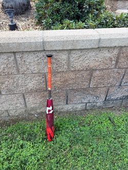 2024 DeMarini Zoa -8