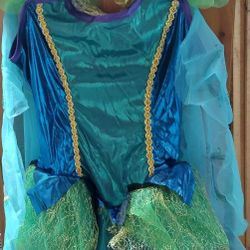 Children's Peacock Costume