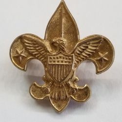 Gold Plated Scout Pin 