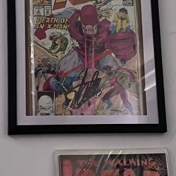Stan Lee Autographed PSA X-men Comic Book