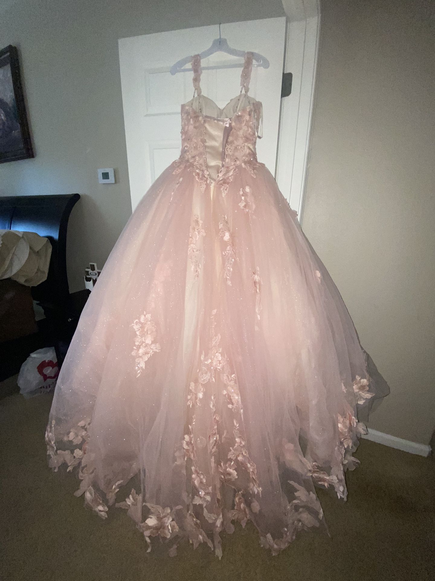 Quinceañera Dress / Sweet 16