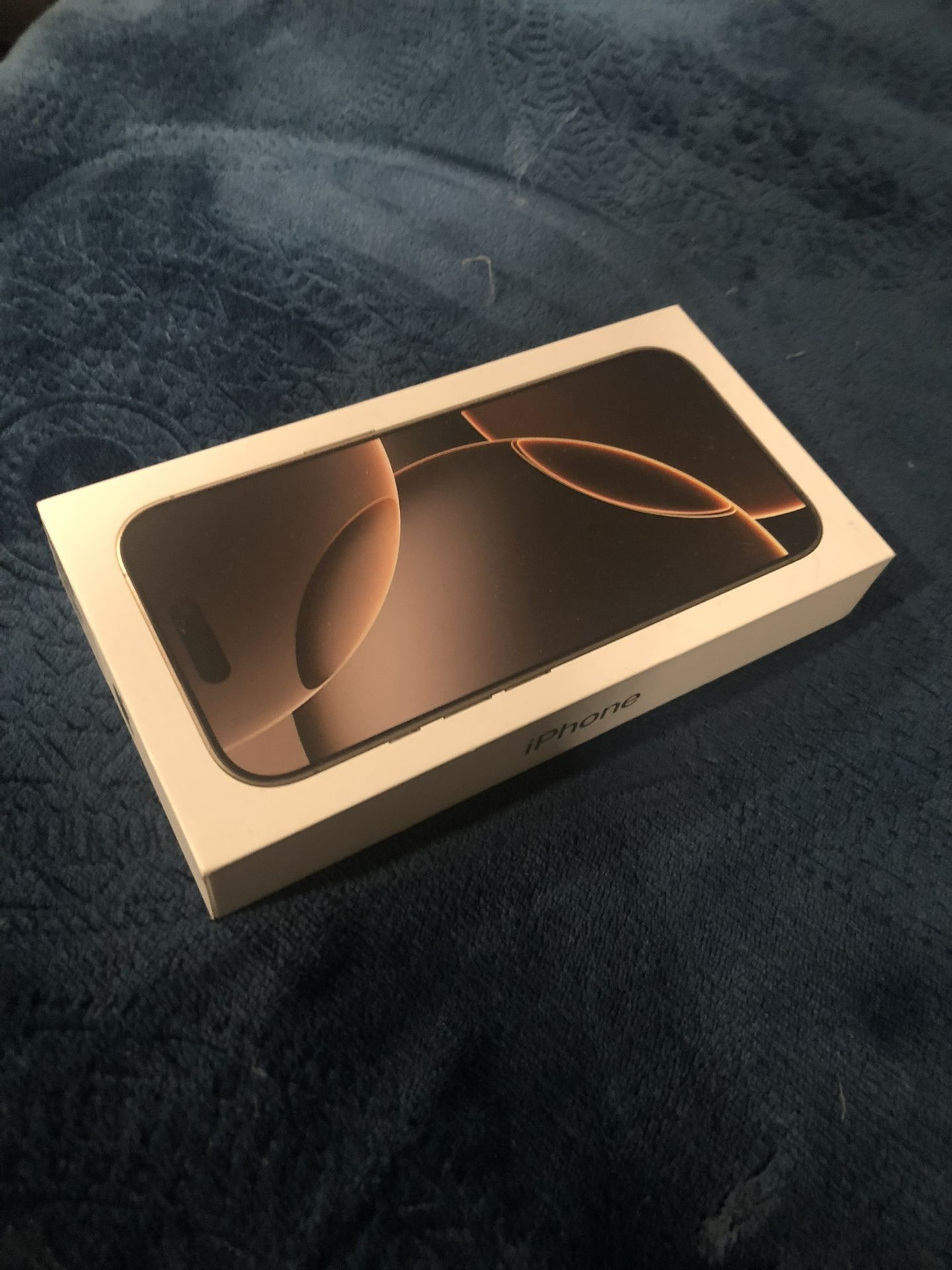 iPhone 16 Pro Box
