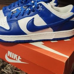Nike Dunks 9.5